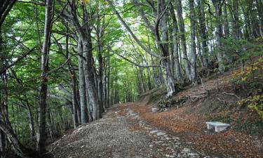 Hotels with Parking in Lizzano in Belvedere