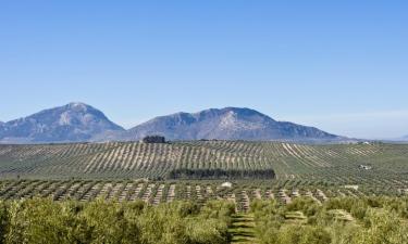 Ferienwohnungen in Pozo Alcón