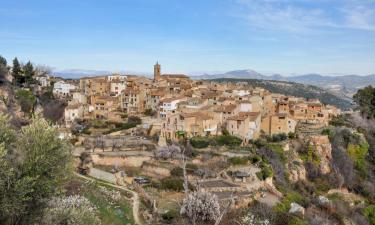 Country Houses in Letur