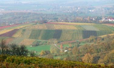 Hoteles en Sauerlach