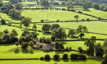 Cottages in Spennymoor