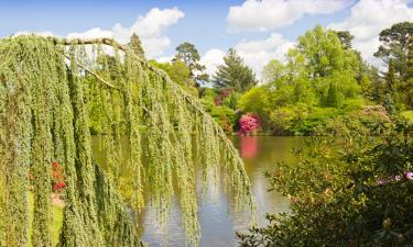 Hoteles en Ticehurst