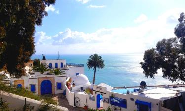 Hotele w mieście Sidi Bou Said