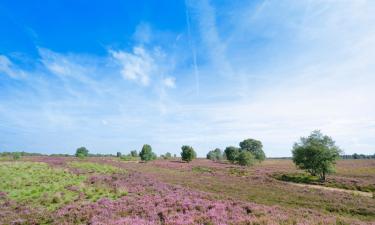 Holiday Homes in Otterlo