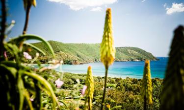 Hoteles de playa en Lacona