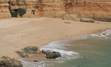 Vacaciones baratas en Torres Vedras