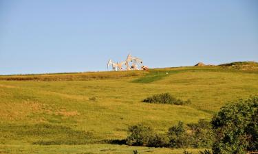 Hoteles con parking en Williston