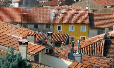 Appartements à Collobrières