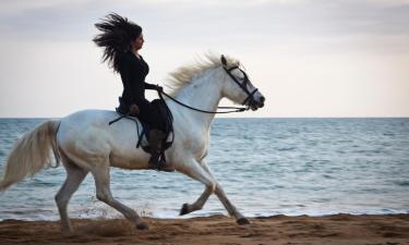 Alquileres vacacionales en Ballyheigue