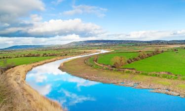 Hôtels pas chers à Shannon