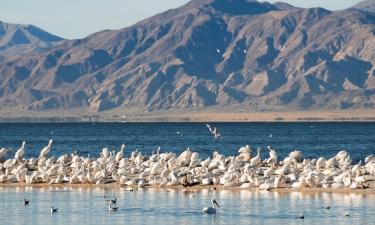 Motels in El Centro