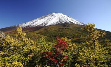 Pet-Friendly Hotels in Narusawa