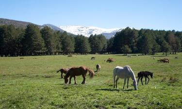 Hoteles que admiten mascotas en Piedrahíta