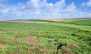 Holiday Homes in Westleton