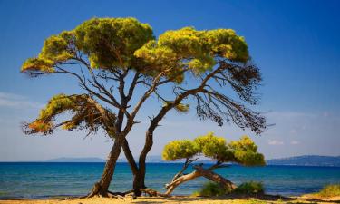 Βίλες στον Μαραθώνα