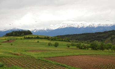 Vacances à Rogachevo à petit prix