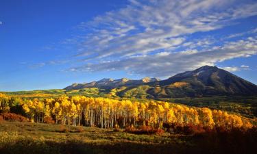 Hoteles que aceptan mascotas en Gunnison