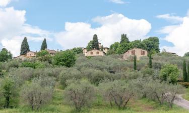 Holiday Rentals in Lucciana