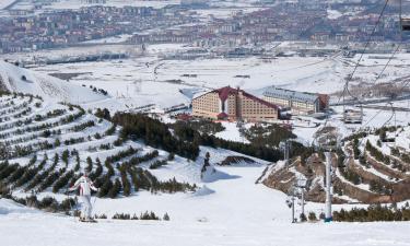 Hotels in Erzurum