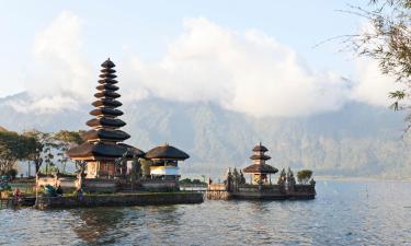 Hotels in Bedugul