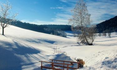 Guest Houses in Kleinarl