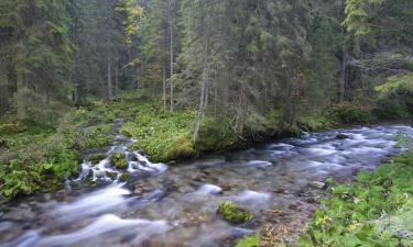 Hoteli u gradu Port Ventvort