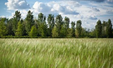 Отели в городе Сольбьяте-Олона