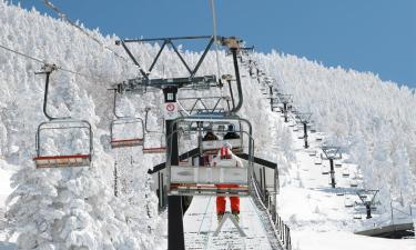 Alojamientos con onsen en Zao