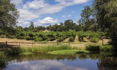 Holiday Homes in Murphys