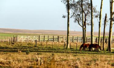 Hotels with Parking in Rosário do Sul