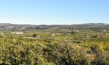 Alquileres vacacionales en Francofonte