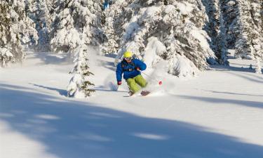 Hôtels à Rossland