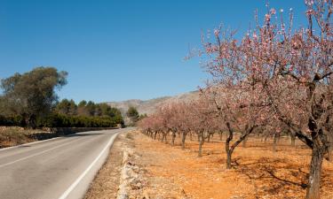 Hotels with Parking in Alcalalí