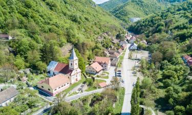 Holiday Rentals in Sasca Montană
