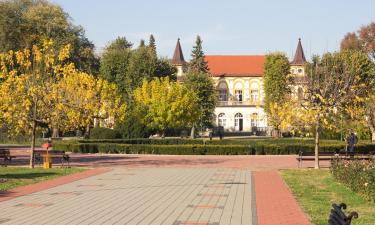 Hotels in Banja Koviljača