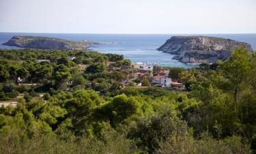 Alojamientos con cocina en Capraia