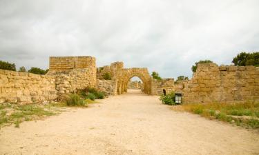 Alojamentos de turismo selvagem em Neʼot HaKikar