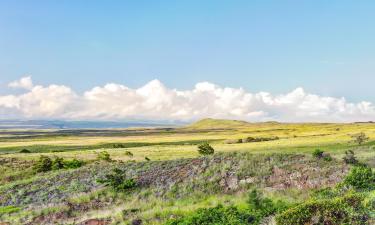 Villas in Waimea