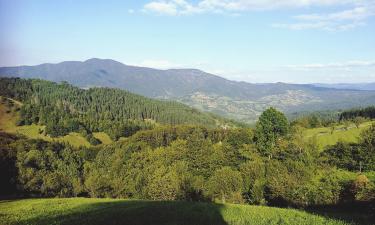 Hotels amb aparcament a Olovo