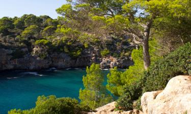 Cottages in Cala Pi