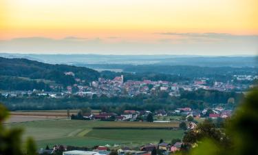 Guest Houses in Ljutomer