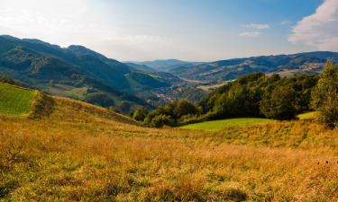 Apartamenty w mieście Rzyki