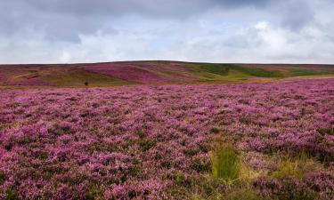 Bed and Breakfasts en Goathland