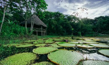 Hoteles en Nauta