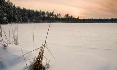 Budjettihotellit kohteessa Rubene