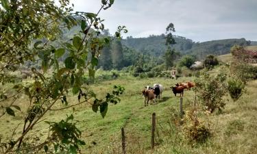 Alquileres vacacionales en Santa Branca