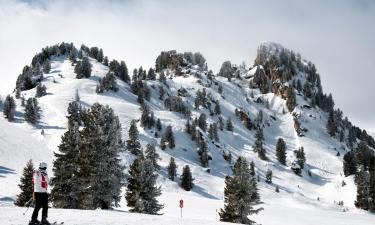 Ski Resorts in Grün