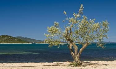 Hoteles de playa en Turanj