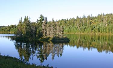 Hoteles en Campbellton