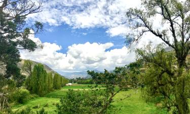 Hoteles que admiten mascotas en Gualaceo